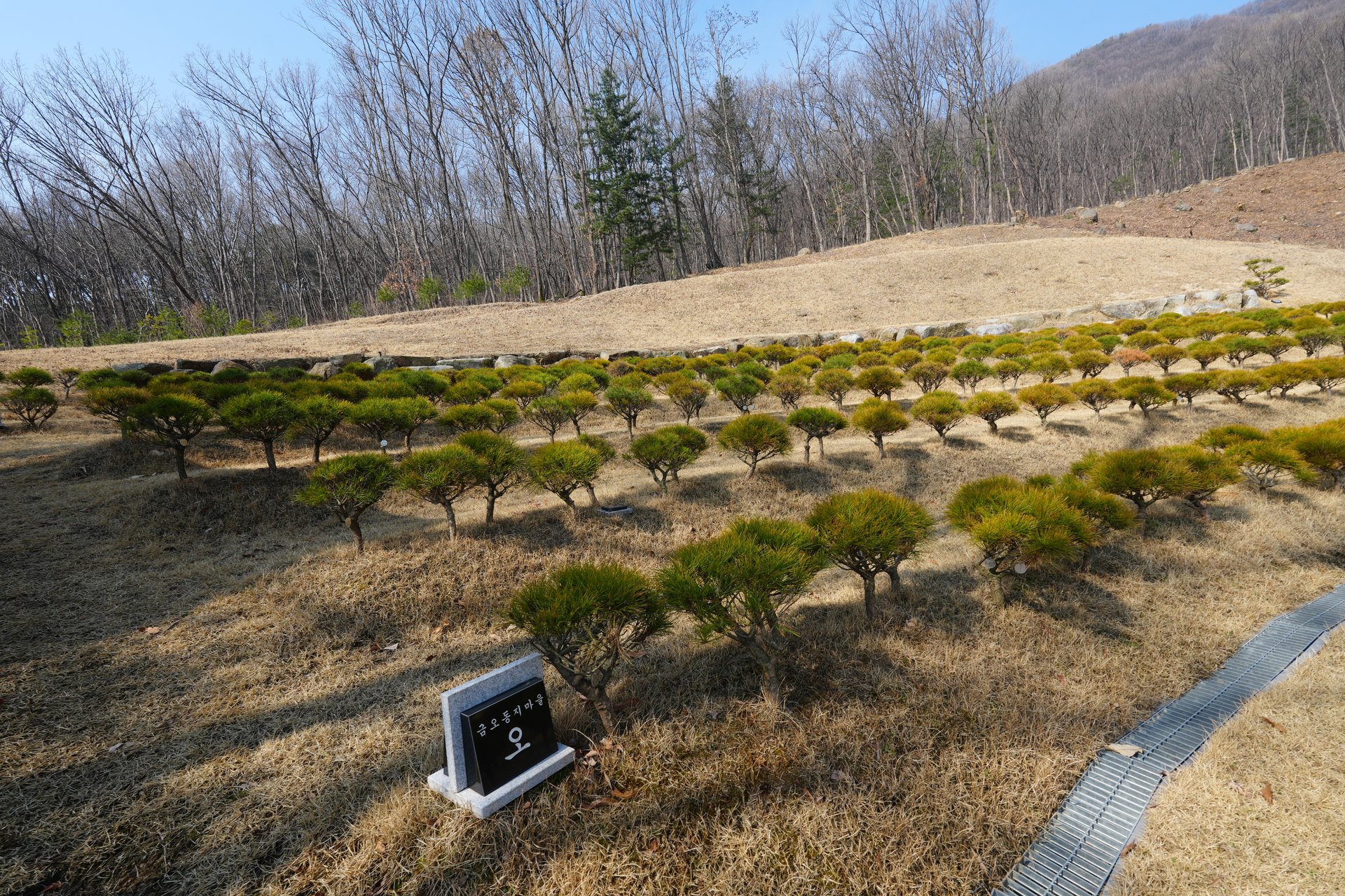 geumo-dongji
