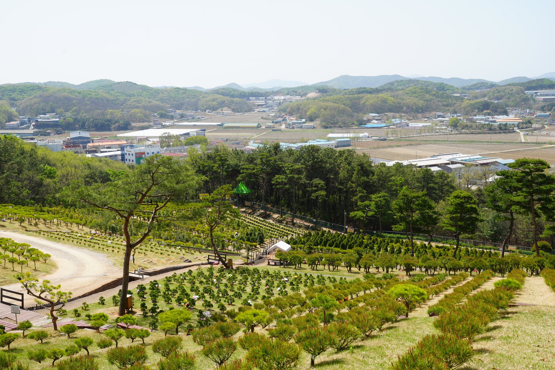 수목장 분양