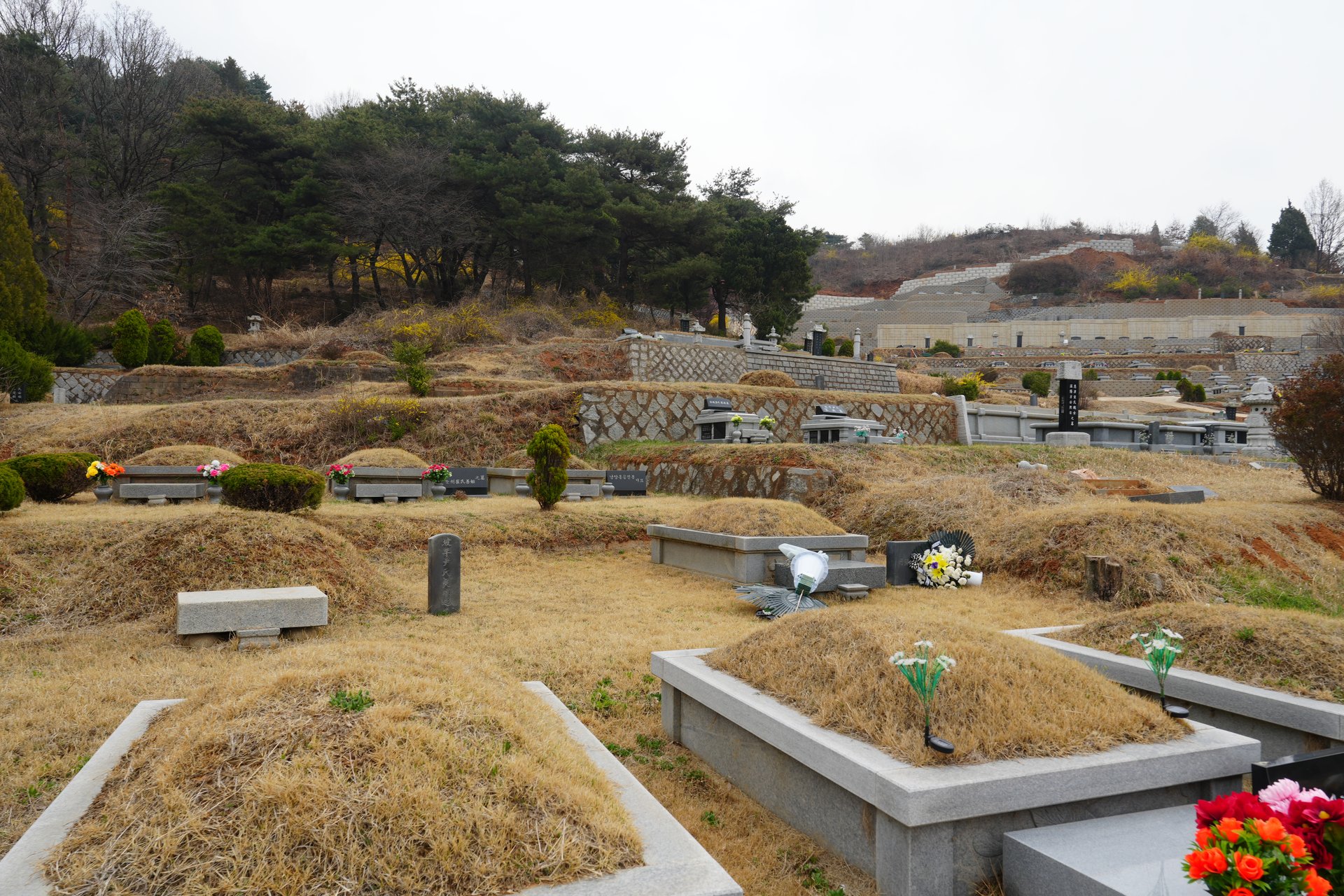 매장묘 분양