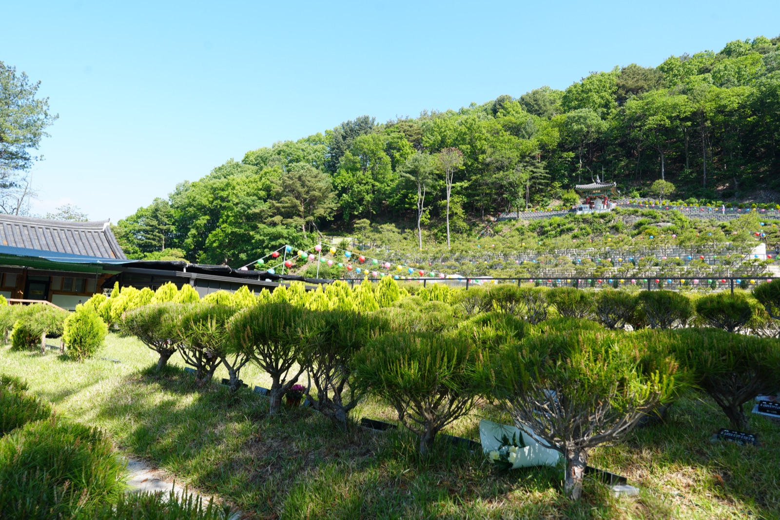 muryangsoo